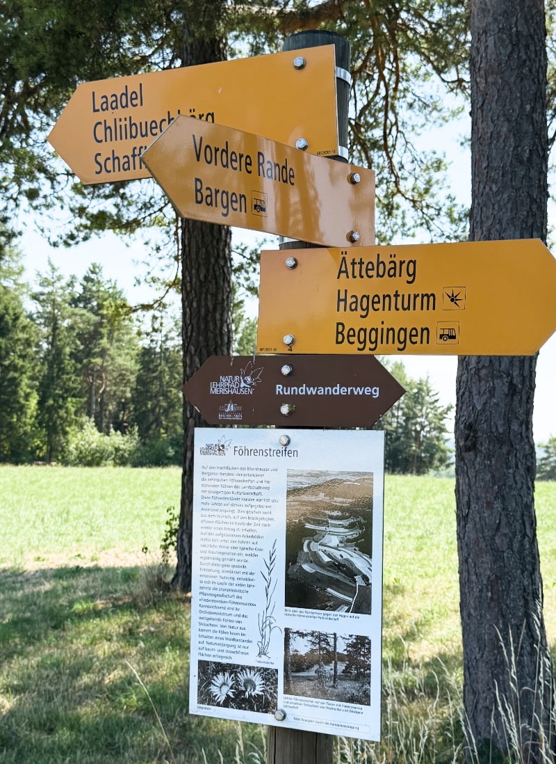 Föhrenstreifen