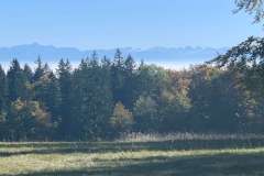 HageBerge1