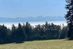 HageBerge2