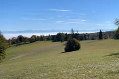 HageRande